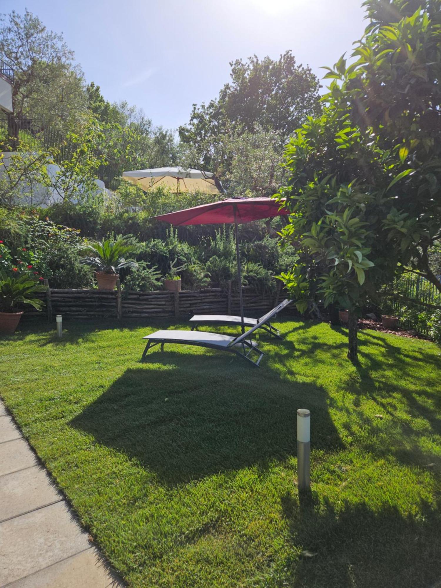 Casa Cali Bed & Breakfast Piano di Sorrento Dış mekan fotoğraf